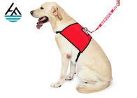 China Veste macia do cão do neopreno de Padde, veste contínua clássica do chicote de fios do neopreno para cães pequenos empresa